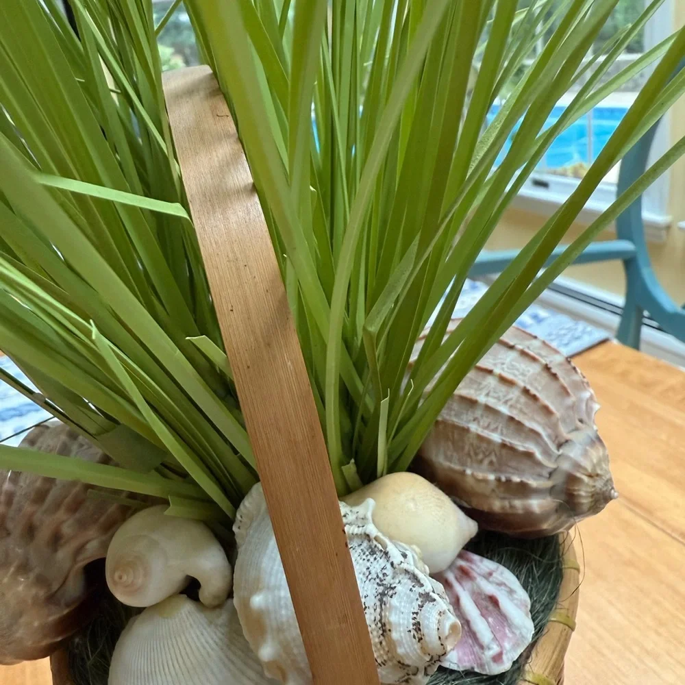 Decorative Basket with Green Grass and Shells